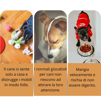 Snack Lab™️- Giocattolo interattivo per animali