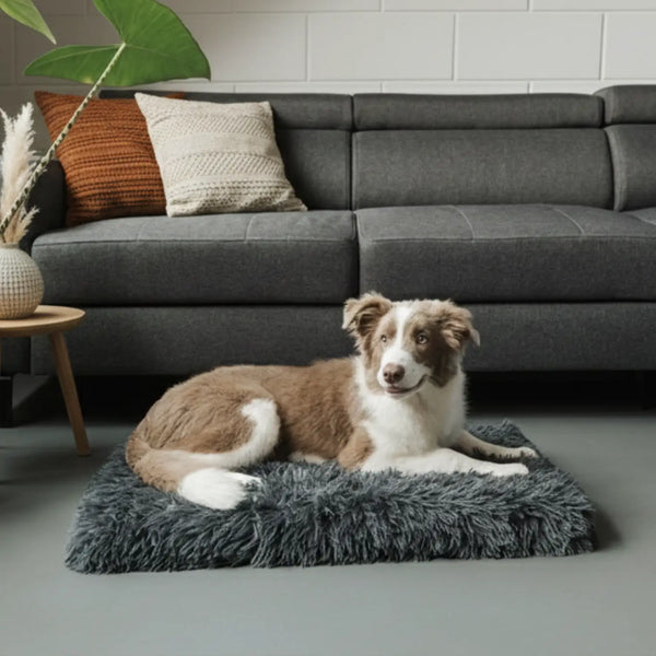 OrthoPaw™ – Materassino Ortopedico per Cani