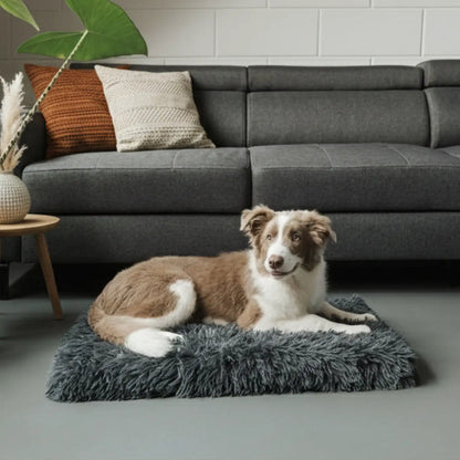 OrthoPaw™ – Materassino Ortopedico per Cani