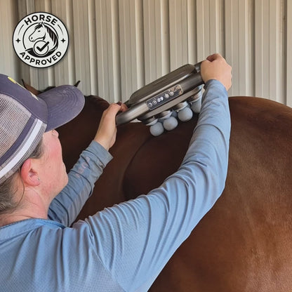 EquiPulse™ Pro – Recupero Muscolare Equino